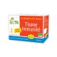 Tisane Immunité - boite de 20 infusettes