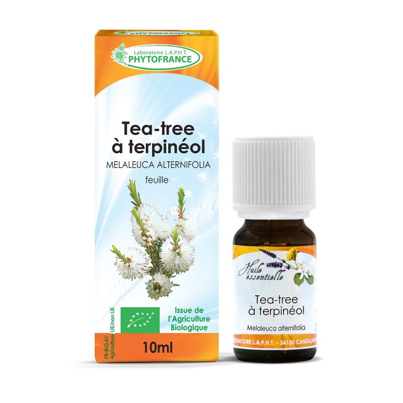 Tisanes Fouché - Huile essentielle de tea tree bio : Melaleuca alternifolia  - Flacon de 10 ml